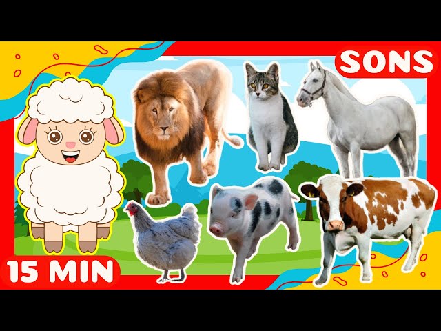 OS SONS DOS ANIMAIS PARA CRIANÇAS | Vídeo educativo infantil