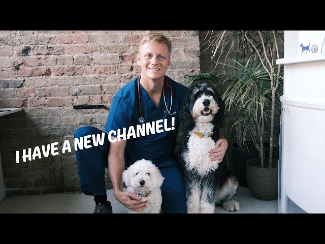 I have a new YouTube Channel! Welcome to Rescue Vet