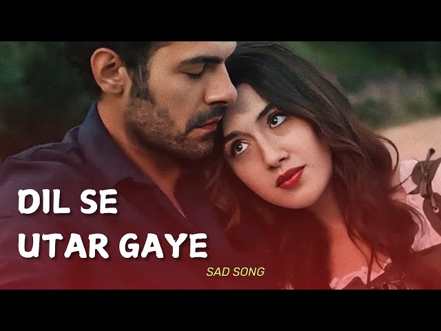 दिल से उतर गए | Dil se Utar Gaye | Latest hindi sad song 2024