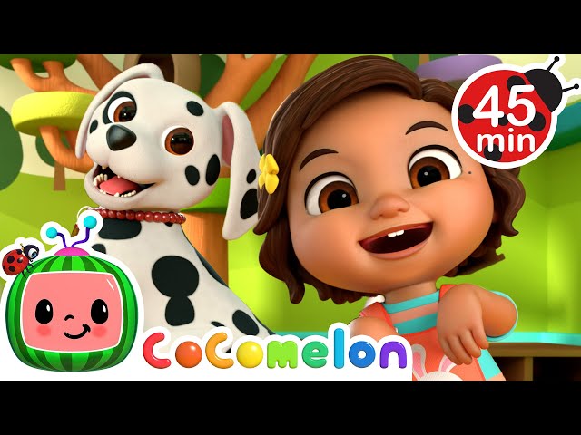 Puppy Play with Patas the Dog! 🐶😄 | CoComelon Nursery Rhymes and Kids Songs | Animals for Kids