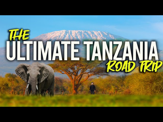 The ULTIMATE 14 Day Tanzania Itinerary｜Zanzibar, Serengeti, Dar es Salaam 🇹🇿