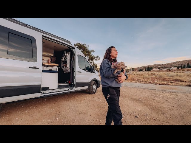 VAN LIFE: Escaping Los Angeles Fires (We Evacuated)