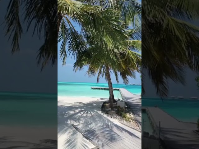 Another Relaxing Day at the Conrad Maldives 🌴 - #maldives #beach