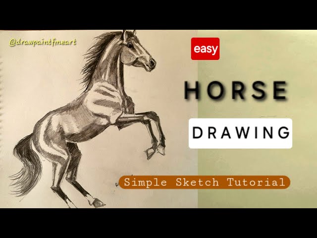 SIMPLE Horse Drawing | EASY Shading Technique