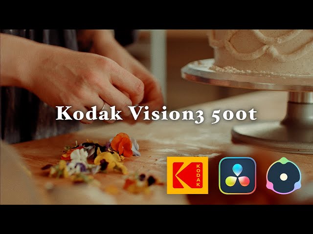 Create a Vintage Film Look with Dehancer | KODAK Vision3 500t Film Emulation