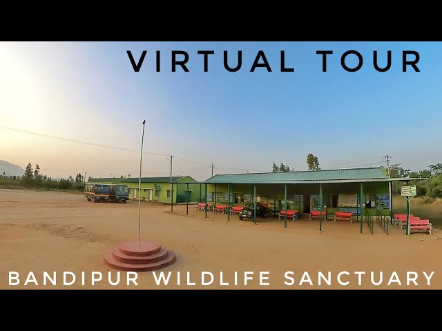 Bandipur Wildlife Sanctuary | Virtual tour | #insta360