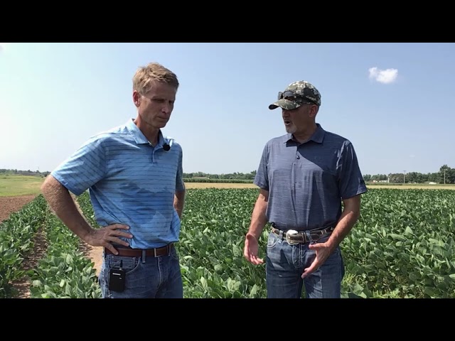 FMC Tech Talk: A New Premix to Help Tackle Troublesome Soybean Pests