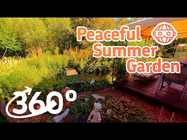 360° VR Beautiful Summer Garden with Croaking Frogs and Light Wind - VirtuellerentdeckeR