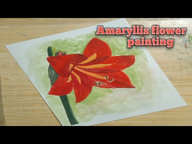 easy to paint Amaryllis flower painting watercolor tutorial | Afshan Art studio |