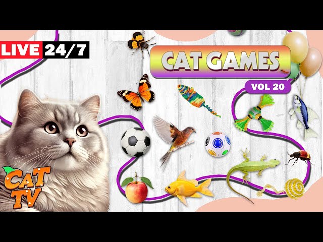 🔴  24/7 LIVE: CAT GAMES 😻 NON-STOP FUN WITH BUGS, BUTTERFLIES AND INSECTS VOL. 20 🪳🦋🐁 🐭 📺