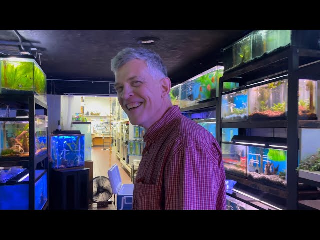 MAN BEEN SELLING AQUARIUM FISH FOR 40 YEARS!