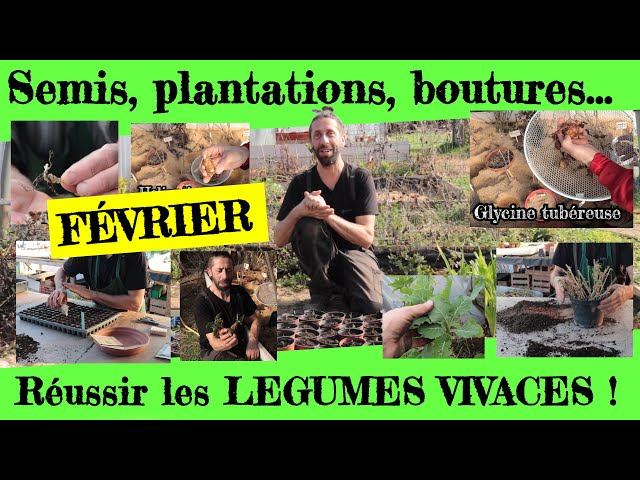 Réussir ses légumes vivaces. Semis, plantations, boutures... en Février !