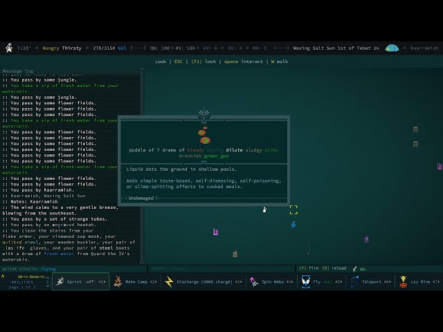 [Caves of Qud 1.0] - BZzZzt SpeedRun Day 4 - We Pray to God for Nick to be Happy, as he is COOL