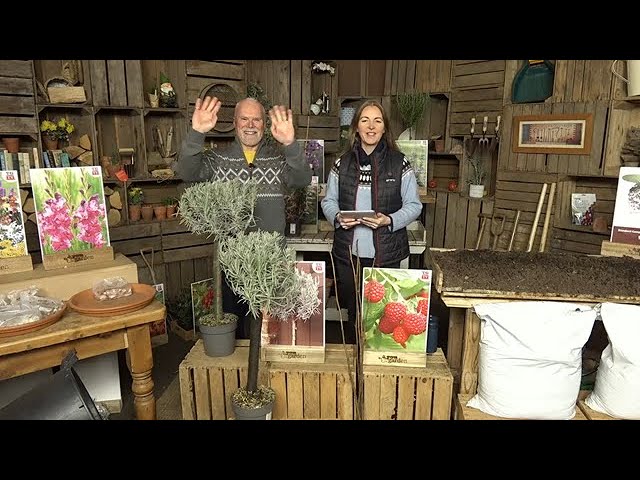 LIVE Sunday Shopping with You Garden