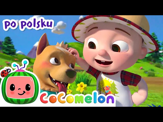 Kochamy góry | CoComelon po polsku 🍉🎶 Piosenki dla dzieci