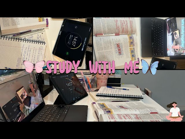 🦋1-Hour study with me | calm study music | ch.16| productive study session | @Neenusbasiclife🦋🐶