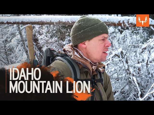 Idaho Mountain Lion | MeatEater Season 7