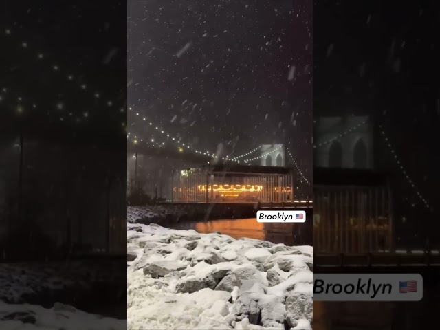 Heavy Snowfall Arrives in Brooklyn Area 🇺🇸 #unitedstates #cold