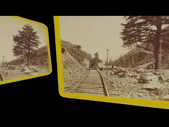 Original 1000 Mile Tree, Utah (silent, still image)