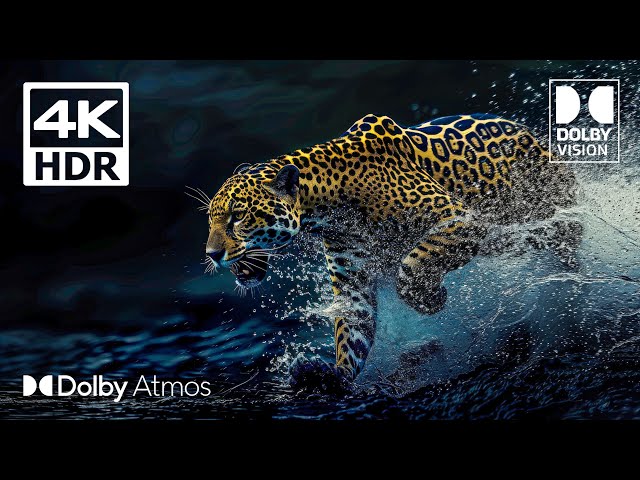 Dolby Atmos - Amazing 4K HDR 60FPS Dolby Vision