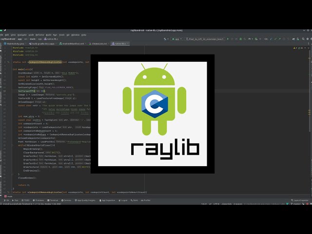 Programming with Raylib in Android using Android Studio