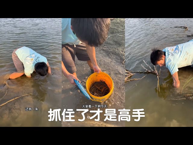 抓住了才是高手！再狡猾的鱔魚也逃不掉我的手心，這樣看就夠了#viralvideo#捕魚