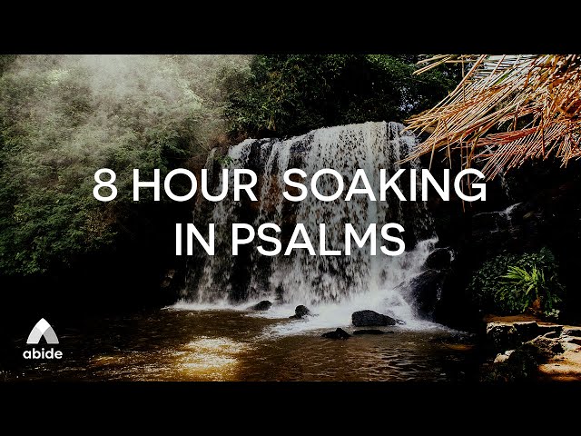 Abide Bible Bedtime Psalms Sleep Talkdown PLAYLIST: Prayers, Psalm 91, Psalm 23, Psalm 121 & 24 more