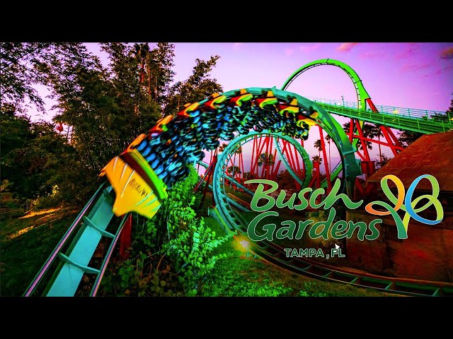 The 2024 ABSOLUTE GUIDE To Busch Gardens, Tampa!