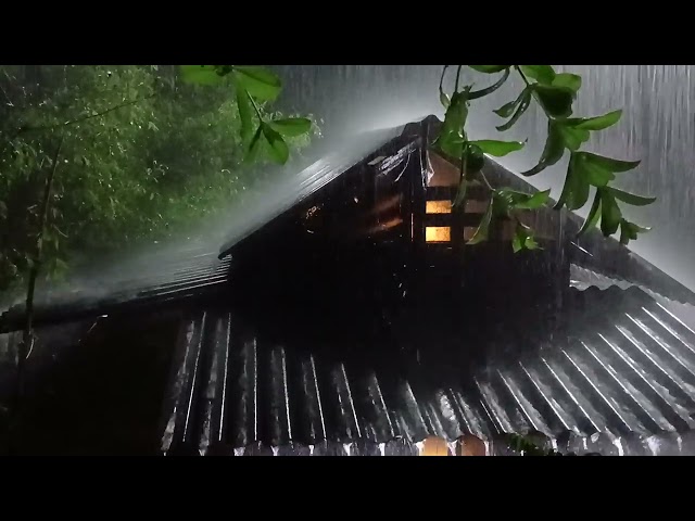 Heavy Rainstorm on Metal Roof with Thunder for Restful Sleep