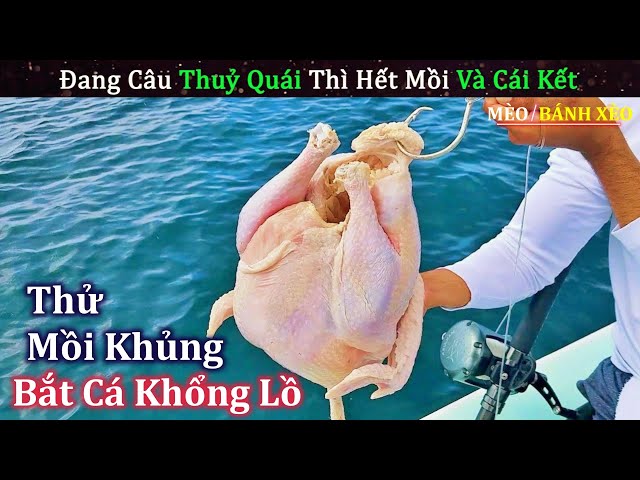 Đang Câu Cá Thì Hết Mồi Hảo Hán Lấy Luôn Mồi Nhậu Ra Câu Và Cái Kết | Review Con Người Và Cuộc Sống