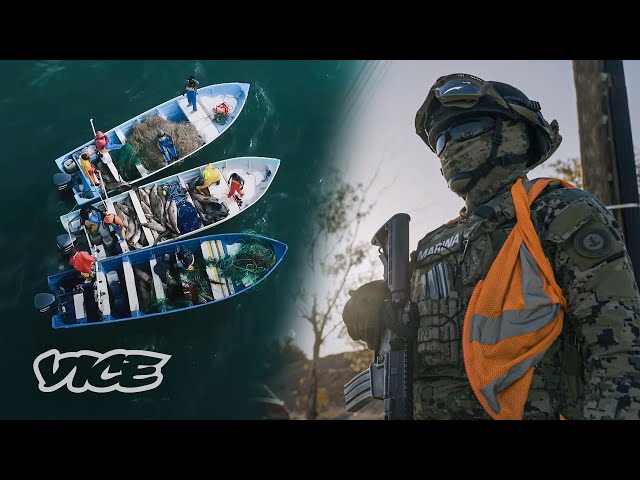 The Cartel’s Cash Catch | VICE Documentary