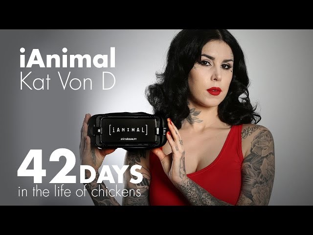 Kat Von D introduces iAnimal - 42 days in the life of chickens! (360 video)