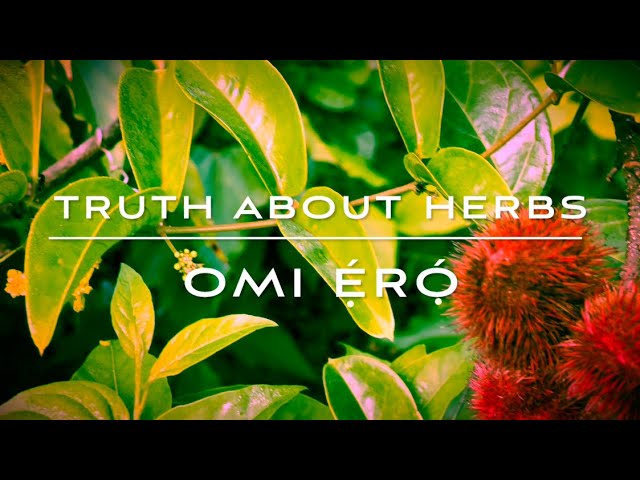 Truths about Herbs & Plants| OMI Ero prelude *MUST WATCH*