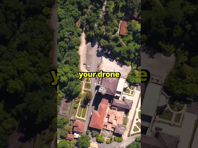 The Secret Move Every Drone Pilot Should Know! 🚀🌟 #dji #drone