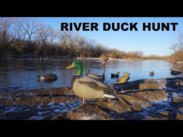 River Duck Hunting! I knew this would happen...