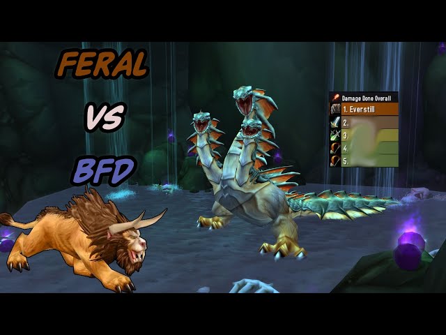 Feral Druid TOP DPS pov | Season of Discovery: 39m 48s BFD 10M. | World Of Warcraft |  #wowclassic