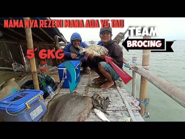 Adu mekanik ‼️ mancing seru vs team Brocing plus dapat jackpot ikan pari monster😱mancing BaGan seru