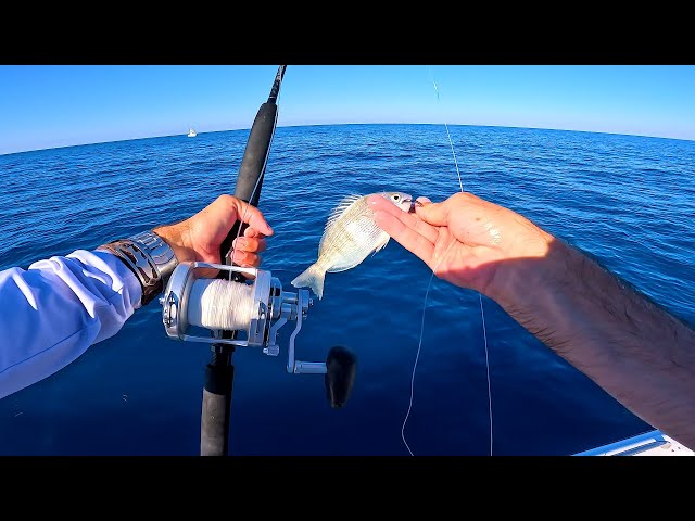 The FINAL Day!! Self Guiding Success Fishing In The Florida Keys | Episode 3