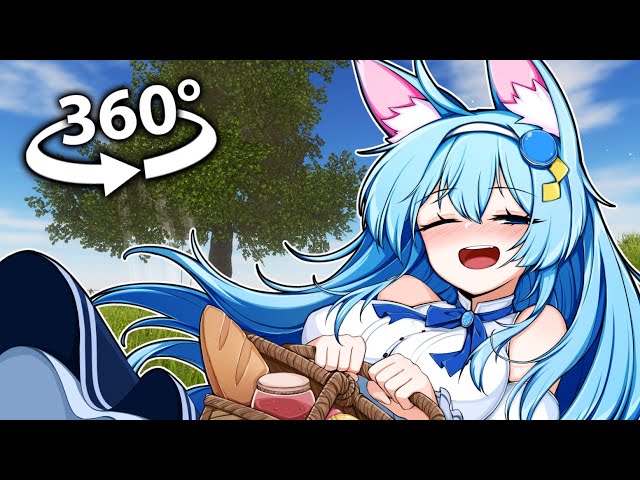 A relaxing Picnic! | 360º4K