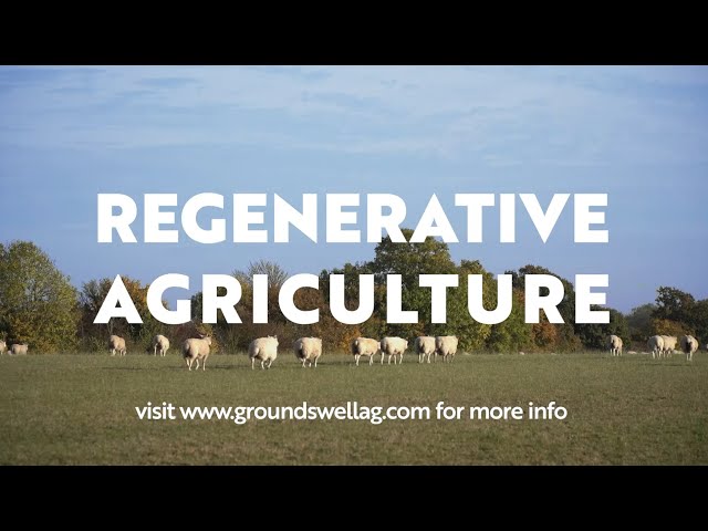 Farmers are changing the world with REGENERATIVE AGRICULTURE - Groundswell Short Film