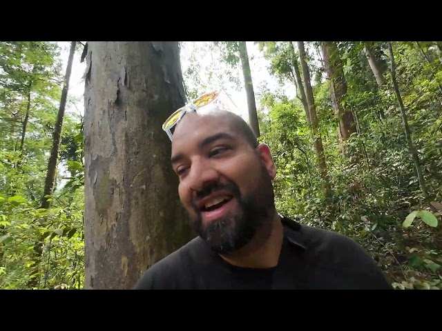 Exploring Kanching Falls, just outside Kuala Lumpur!