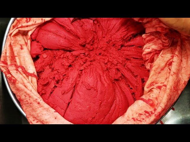 Easiest way to Make Tomato Paste From Fresh Tomatoes | How to Preserve | Store Fresh Tomatoes