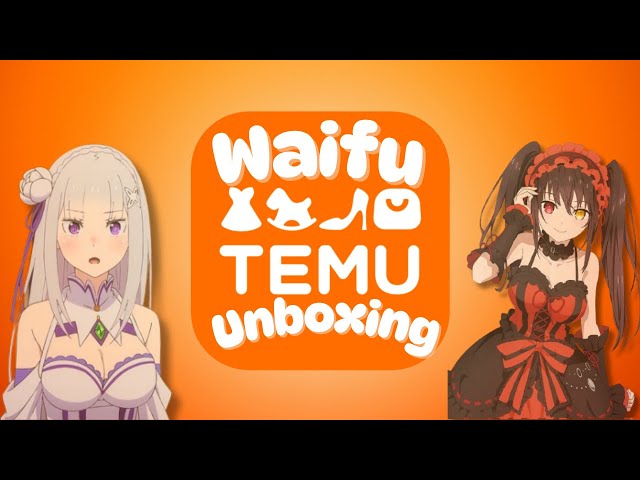 Budget Waifu Figurines from Temu: Surprisingly Good?