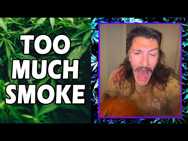 WEED MEMES & Fail Compilation [#234] - Fatally Stoned