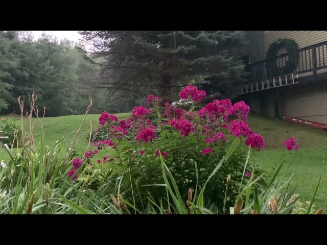 Nice Vermont Thunderstorm 8/14/2024