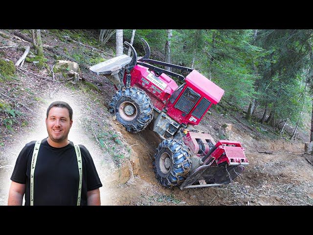 FORÊT 2023 ! 🌲DEBUSQUEUR CAMOX dans les Pyrénées ! ALLIANCE FORESTAR