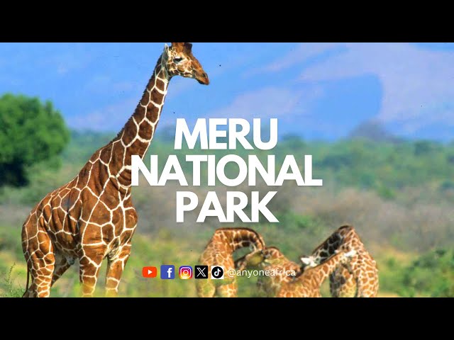 Meru National Park