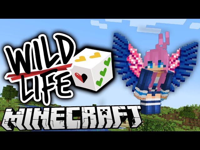 Surprise! 🎲  | Ep. 1 | Wild Life