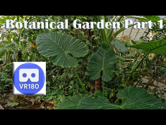 Botanical Garden Part 1 VR180