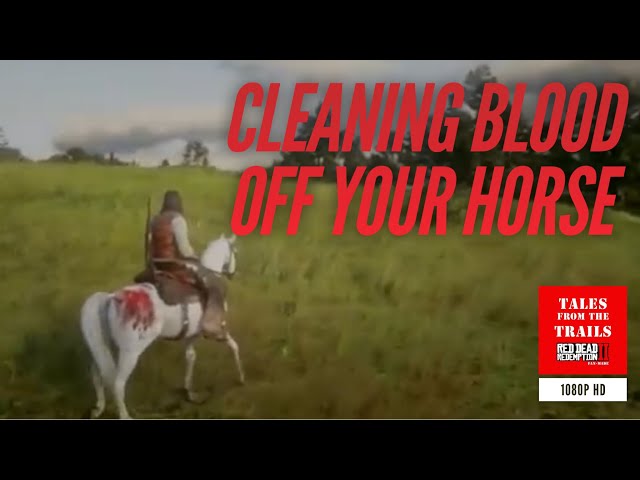 🗣 RDR2: How to remove Blood stains from your horse - Red Dead Redemption 2 1080p